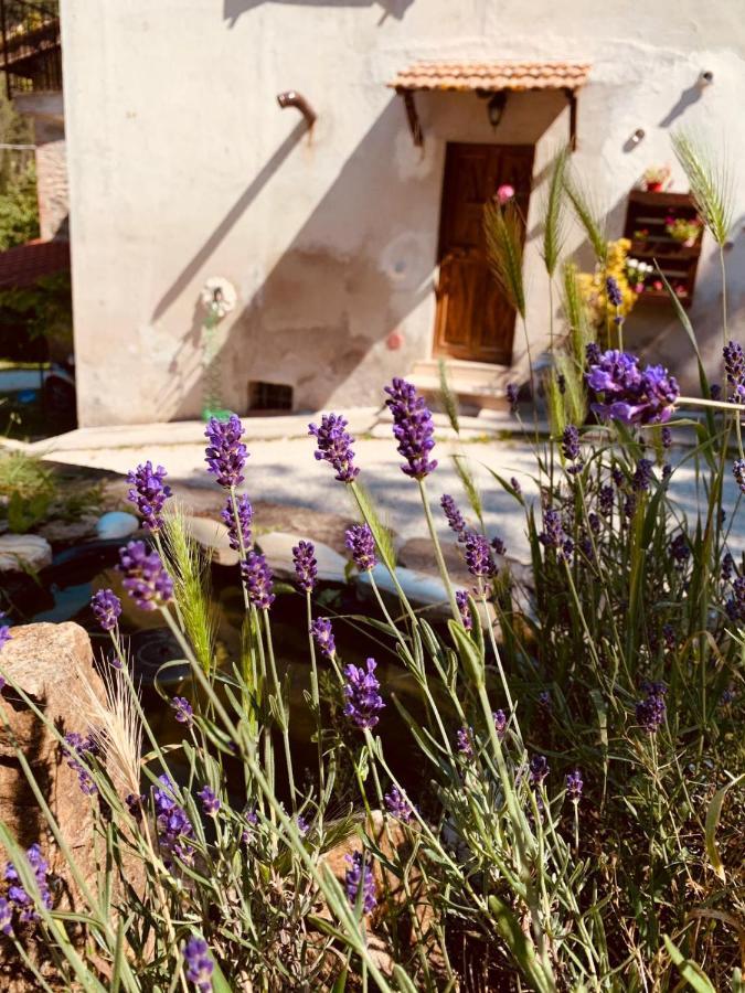 B&B Paradiso Gubbio Exterior foto